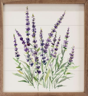Lavender Botanical I By Carol Robinson